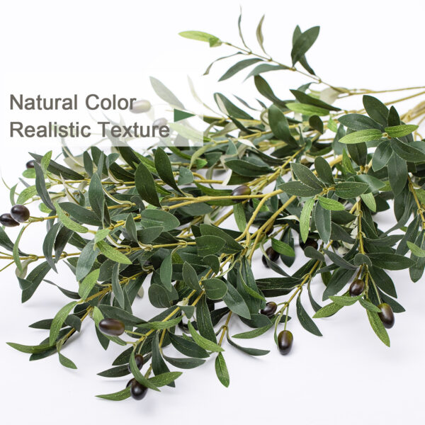 olive - Image 3