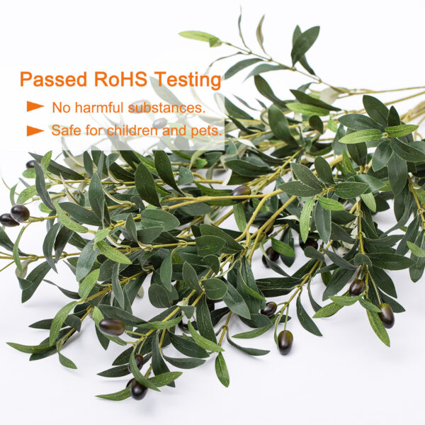 olive - Image 2