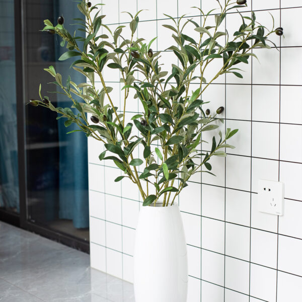 olive - Image 4