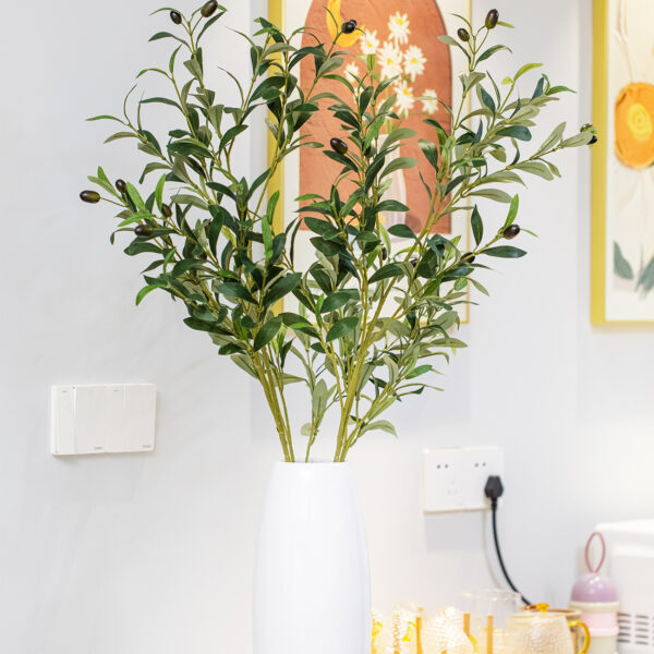 olive - Image 10